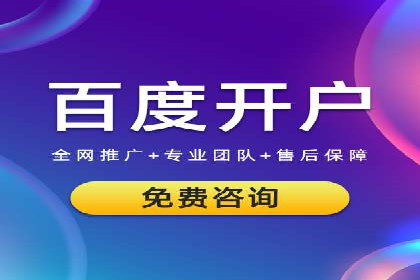 百度SEO推广公司案例精选：揭秘优化策略